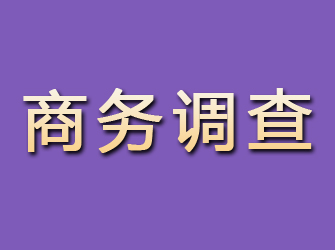 宿迁商务调查